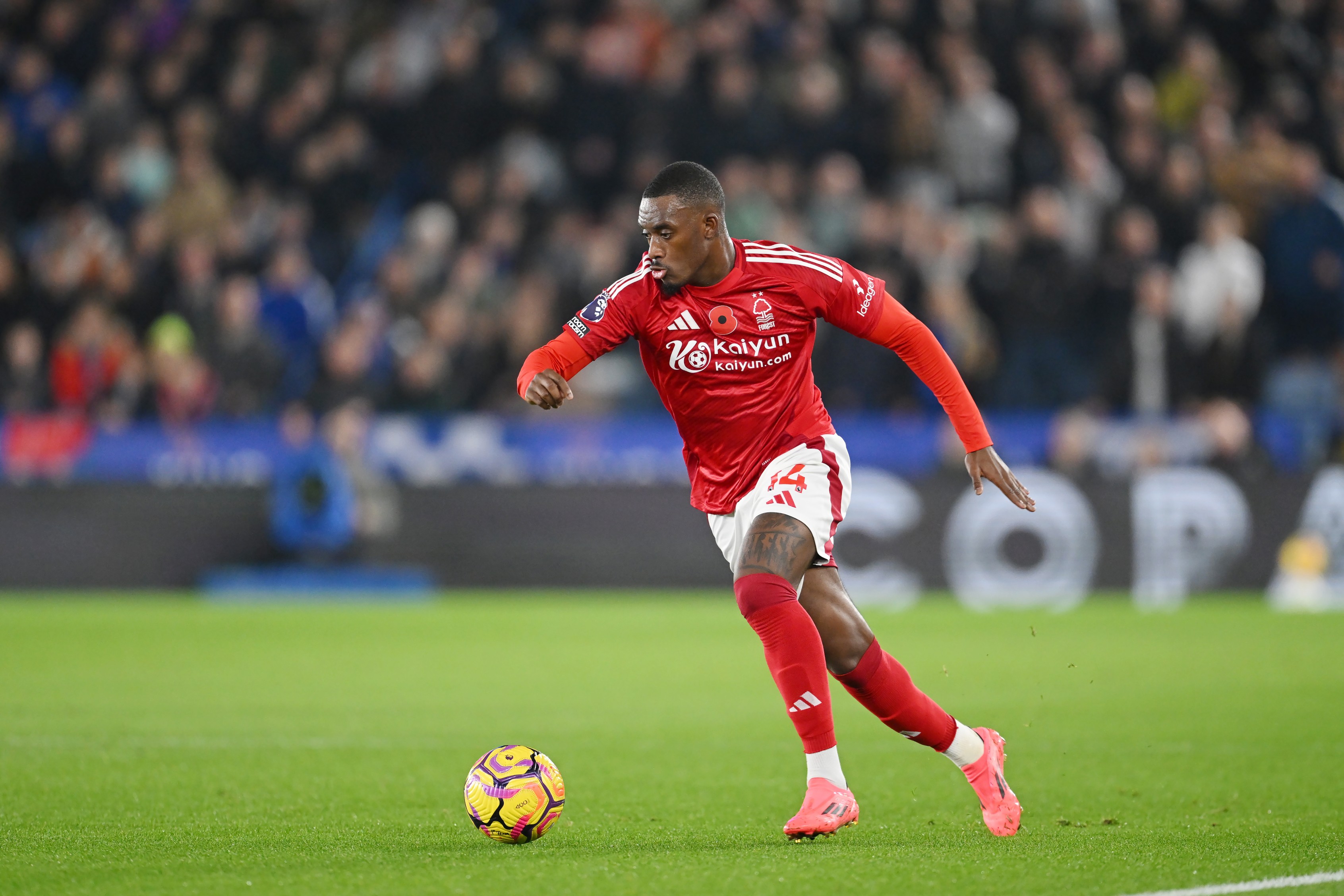 Tottenham want to sign Callum Hudson-Odoi.